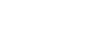 sas-logo-white